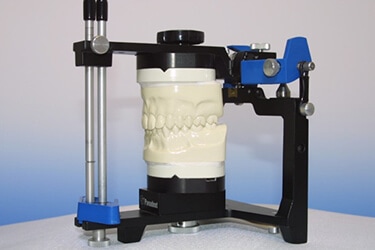 3D Teeth Model